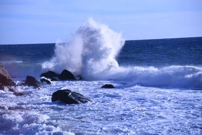 DSC_0594 (Large).JPG